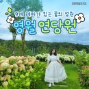 9개 테마가 있는 꿈의 정원 🌼 ＜영월 연당원＞ 이미지