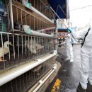 말바우 농장 이미지