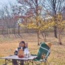 삼화제4근린공원 | 인천 공원 추천｜주차 편한 남항근린공원 피크닉 후기 (맥도날드 신메뉴 싸들고 나들이)