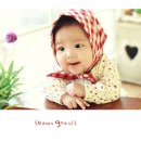 시율 Daum카페
