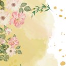 머리향기 - 중랑구 묵동 | 머리향기