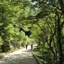 항골계곡 이미지