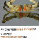밥도둑 이미지