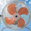 동우열전 이미지