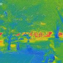 파란나라 이미지