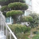 여문1로 이미지