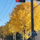 하네돈가스 | 블챌이라 하고 뭔 먹기만 하네...🐷