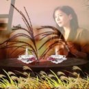 석미경 /가을 사랑 이야기 이미지