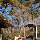 황점주차장 이미지