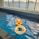 장등을 밝히다 이미지