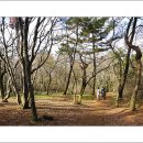 장생테크 이미지