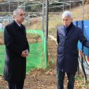 새마을 태양광발전소 이미지