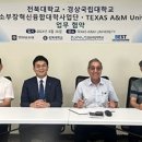 에이앤엠교육
