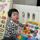 카이모 이미지