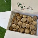 봄맞이 표고농장 이미지