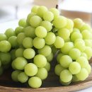 유목농장 이미지