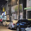 초록애보성녹돈