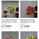 태교농장 네이버블로그