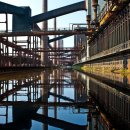 신도모터스 이미지