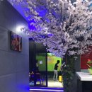 미샤스크린골프 이미지