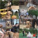 도도1농장 이미지