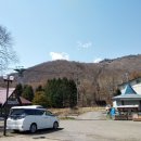 베로니떼