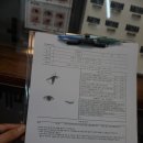 카리스안경원 | 은평구 속눈썹 잘하는 곳 네이처바이아이 두번째 방문 솔직후기