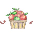 샬롬 이미지
