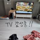 광민농장 네이버블로그