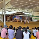 토리를 찾아서 얼씨구 이미지