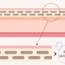 크림약국 이미지