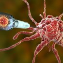 우주한방병원 이미지