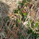 위도면사무소 이미지