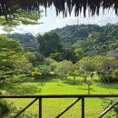 새평화약국 | 피피섬 사이 피피 아일랜드 빌리지 리조트 가든 디럭스 방갈로 후기(연박, 룸 컨디션, 고양이, 도마뱀)