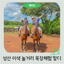 돌담목장 | 제주도 목장카페 밭디 성산 승마체험 이색 놀거리