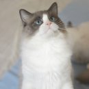 리터바이 이미지
