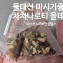 신마 | 수분부족 만성탈수 물대신마시기좋은 차차나로티 후기