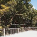 오자매공인중개사사무소 이미지