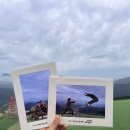 한드미 마을 | 단양 여행 필수코스 청춘패러 패러글라이딩 데이트 코스 추천