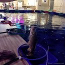 수원실내낚시터 이미지