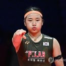 배드민턴 이미지