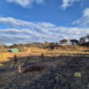대경농장 | [포항부동산] 농사·주택지 최적! 🌿 인비리 옥토 매물, 접근성까지 완벽한 계획관리지역 ✨