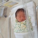 동작구 청화병원 제왕절개 출산후기 5박6일
