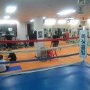 한국체대라학균복싱클럽 이미지