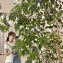 아레볼뷰티 네이버블로그