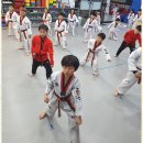 용인대 하나 태권도 이미지