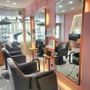 마리머리 이미지