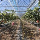 영실농장 이미지