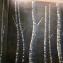 노크서면직영점 이미지