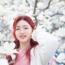 혜야사진관 - 부천시 소사구 소사로 140 | 혜야사진관